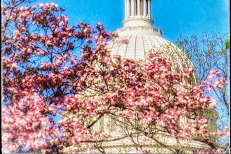 Smartphone Field Shoot - Springtime Around The Capitol